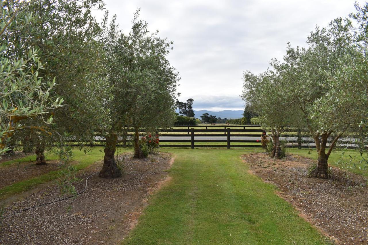 Bed and Breakfast Olivista Masterton Exteriér fotografie