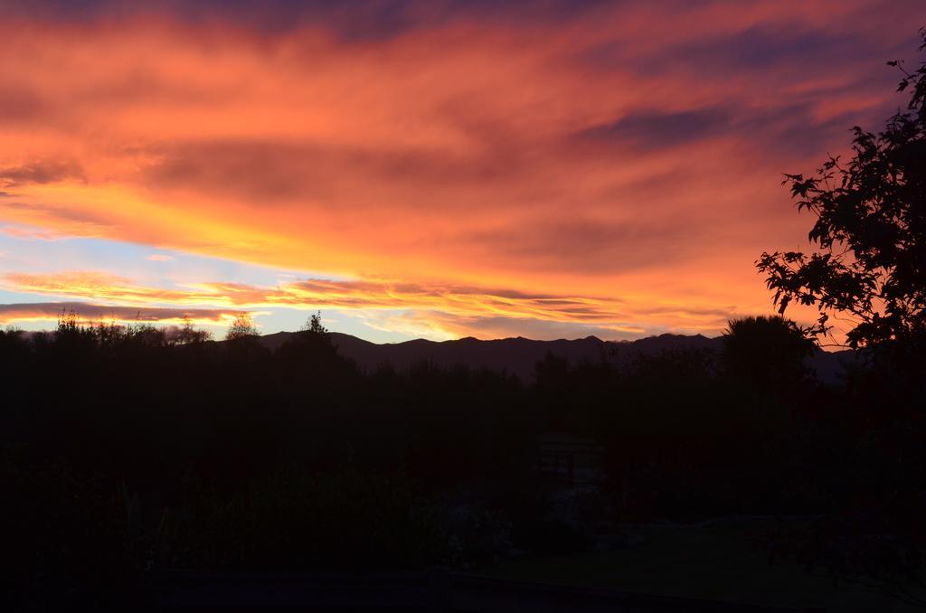 Bed and Breakfast Olivista Masterton Exteriér fotografie
